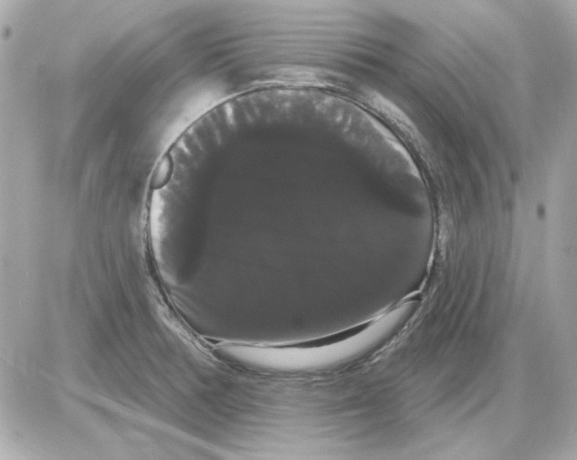 X0000085221378200704091921