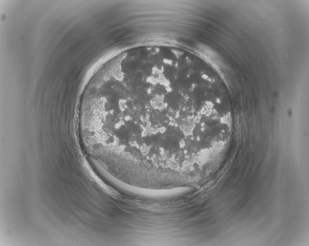 X0000085221379200704091921