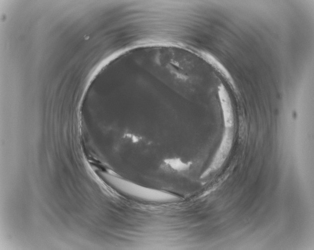 X0000085221380200704091921