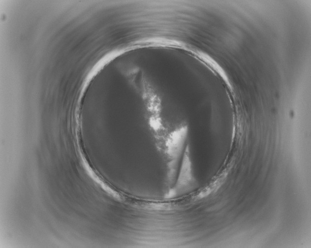 X0000085221381200704091921