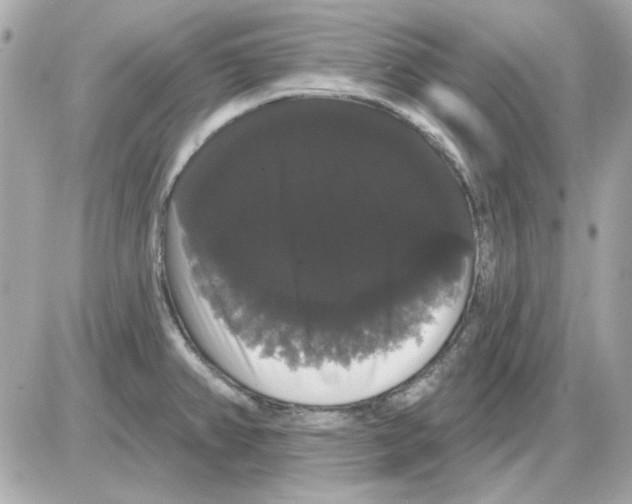 X0000085221382200704091921