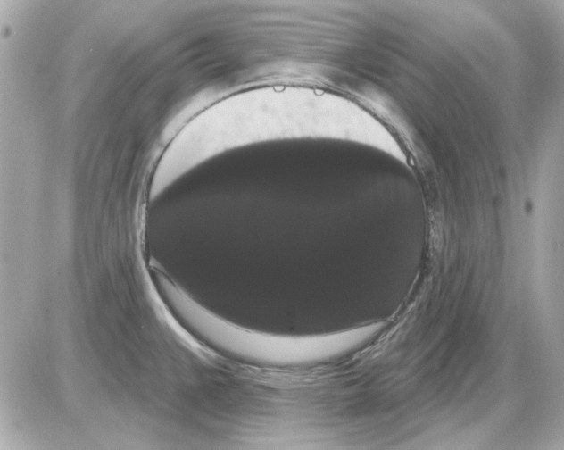 X0000085221383200704091921