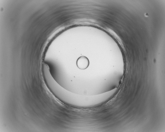 X0000085221384200704091921