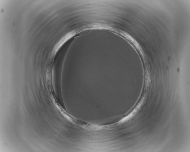 X0000085221385200704091921