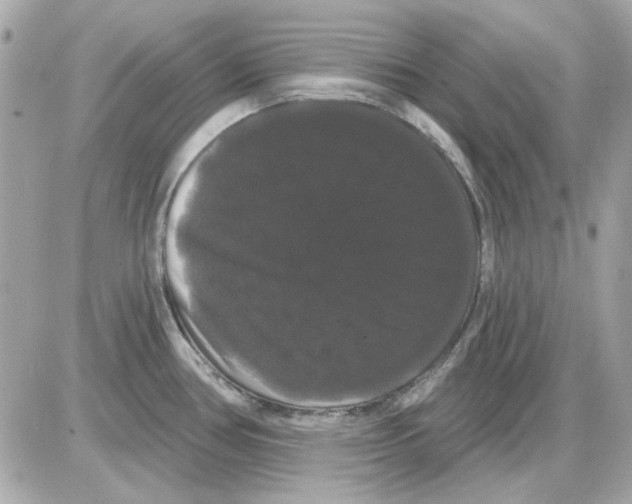 X0000085221386200704091921