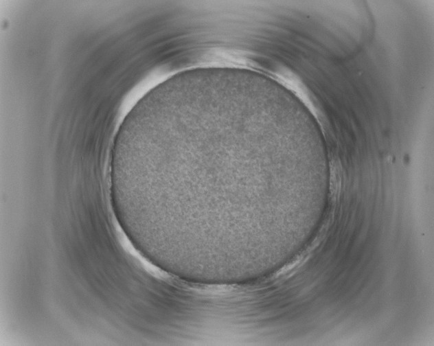 X0000085221387200704091921