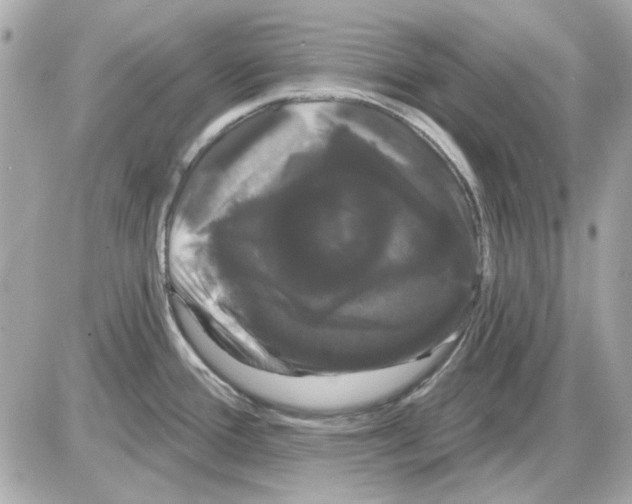 X0000085221388200704091921