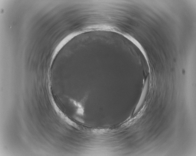 X0000085221389200704091921