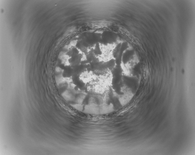 X0000085221393200704091920