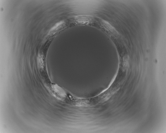 X0000085221394200704091920