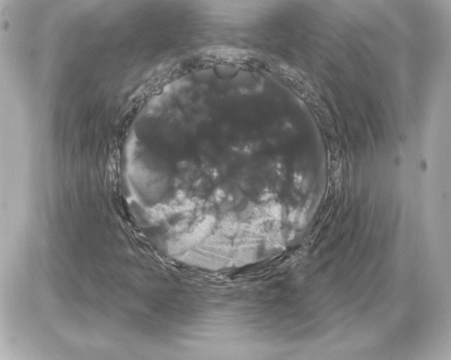 X0000085221397200704091920