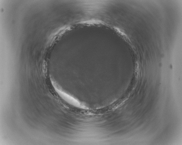 X0000085221398200704091920