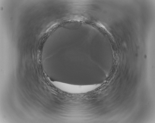 X0000085221399200704091920