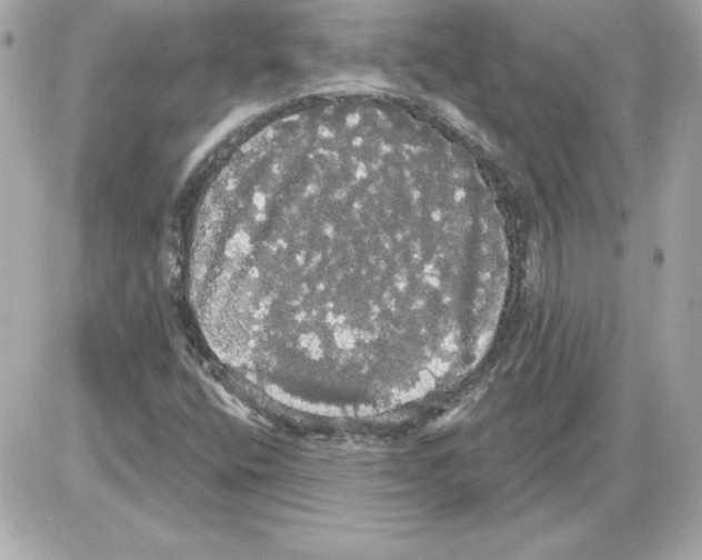 X0000085221400200704091920