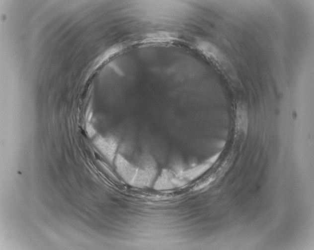 X0000085221401200704091920
