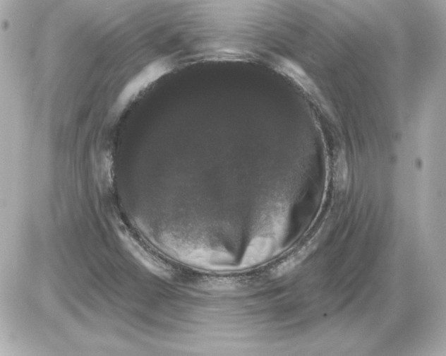 X0000085221402200704091920
