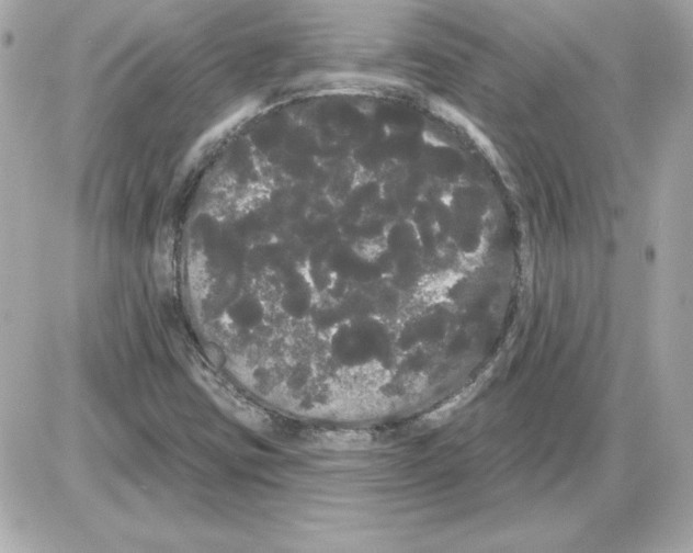 X0000085221403200704091920