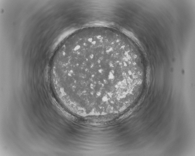 X0000085221404200704091920