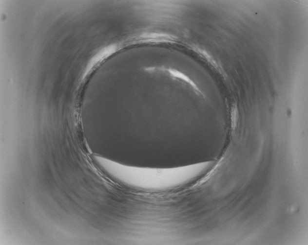 X0000085221405200704091920