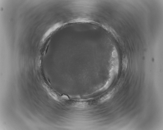 X0000085221406200704091920