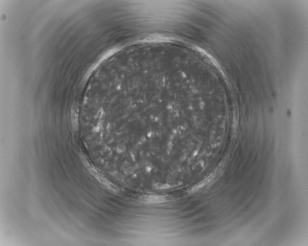 X0000085221409200704091920