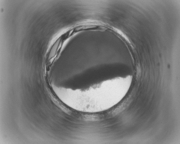 X0000085221413200704091920