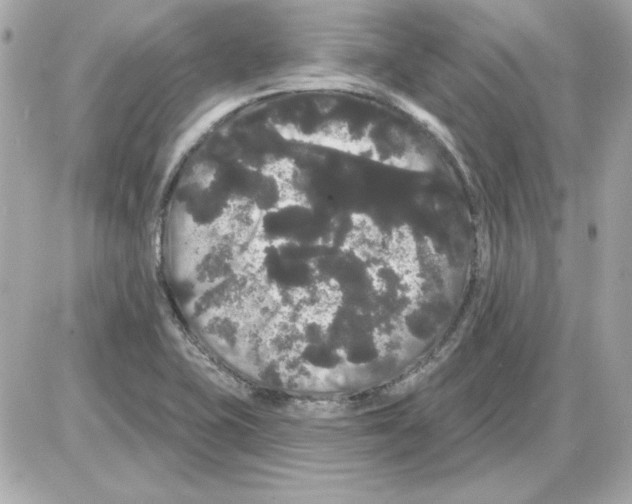 X0000085221415200704091920