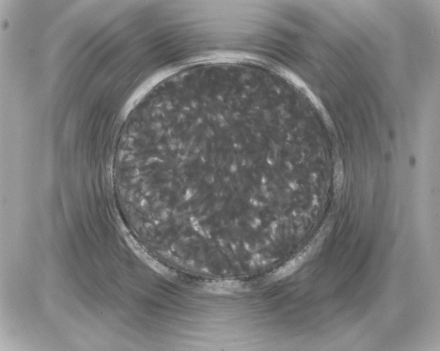 X0000085221417200704091920