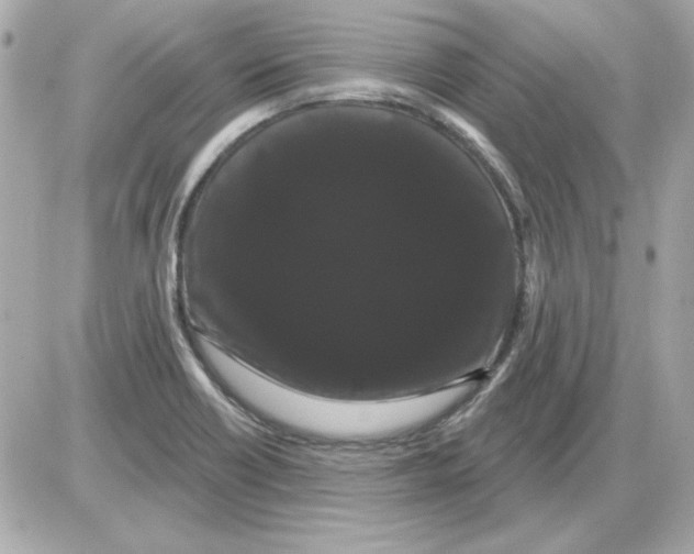 X0000085221418200704091920