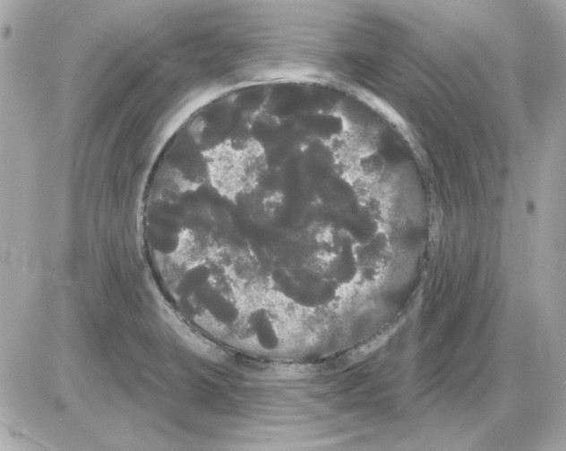 X0000085221423200704091920