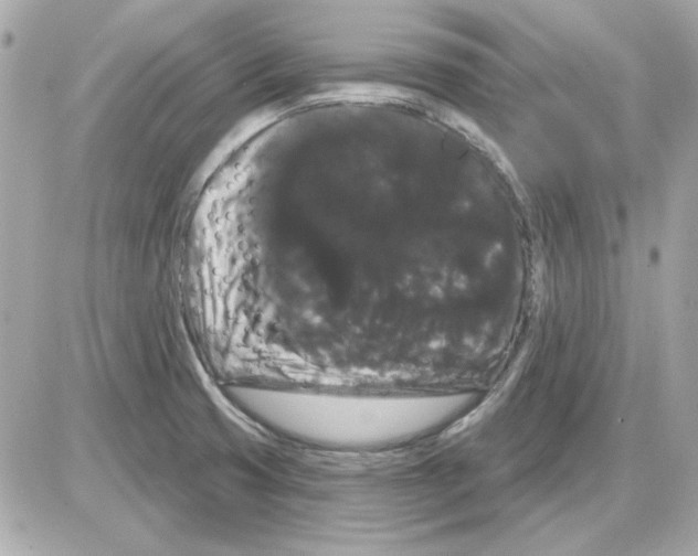 X0000085221425200704091920