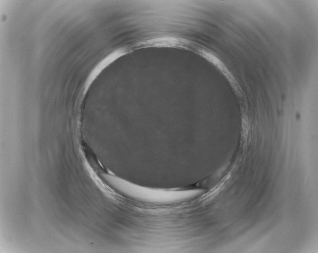 X0000085221426200704091920