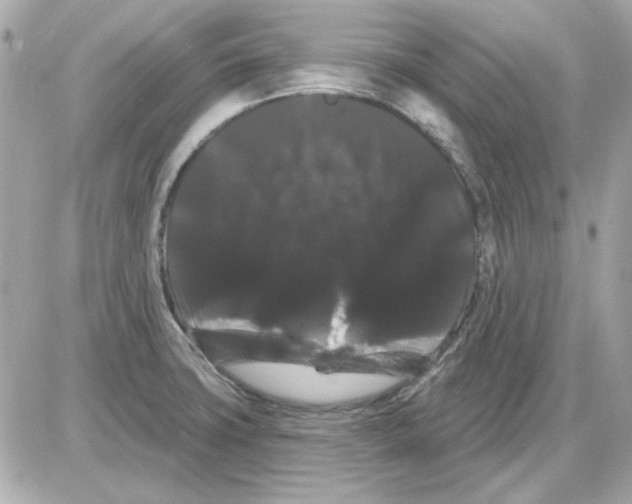 X0000085221427200704091920