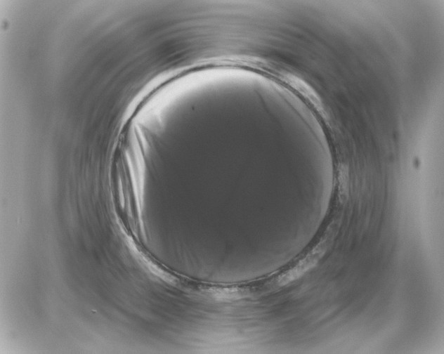 X0000085221428200704091920
