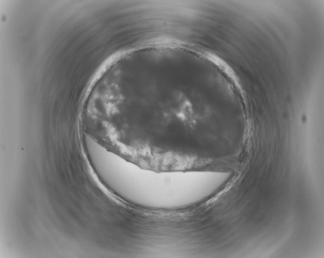 X0000085221429200704091920