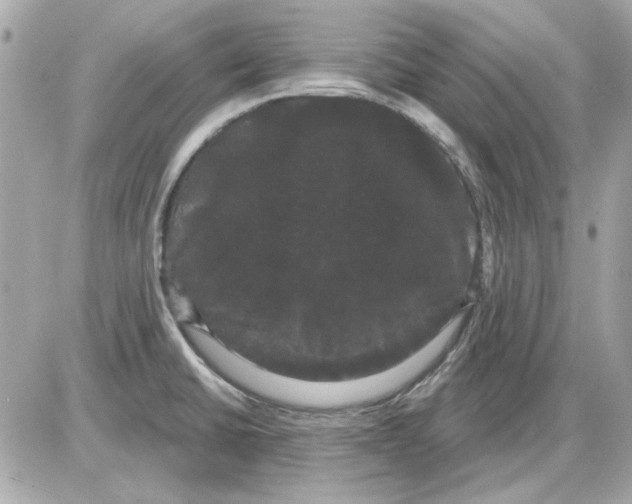 X0000085221430200704091920