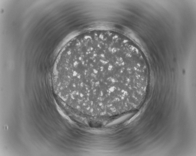 X0000085221433200704091920