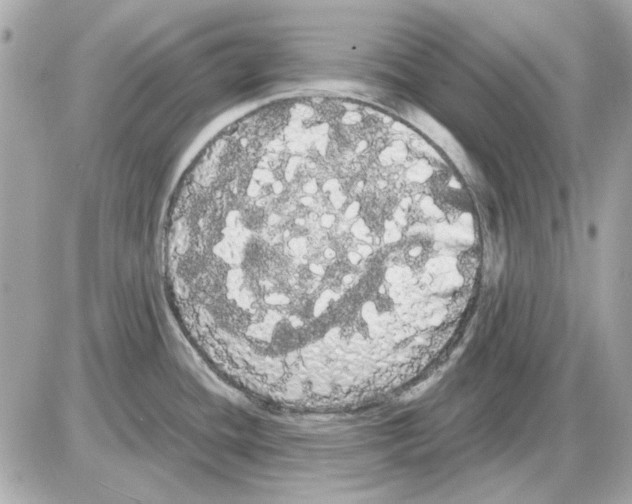 X0000085221436200704091920