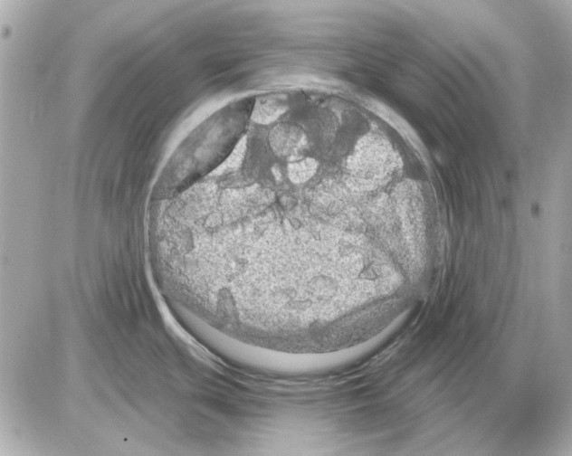 X0000085221439200704091920