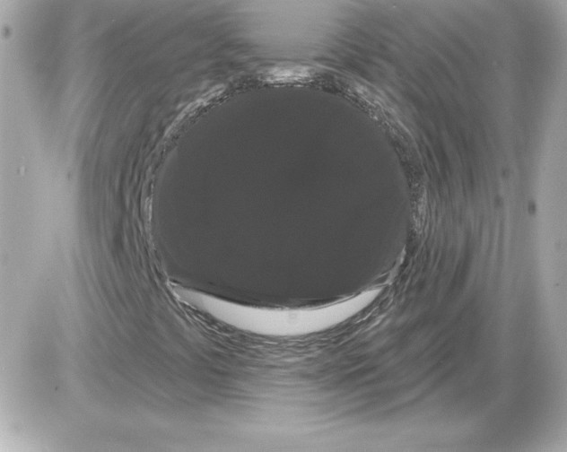 X0000085221441200704091920