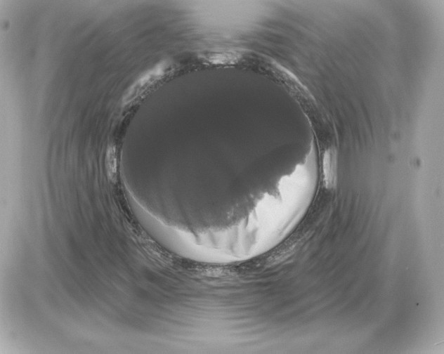 X0000085221443200704091920