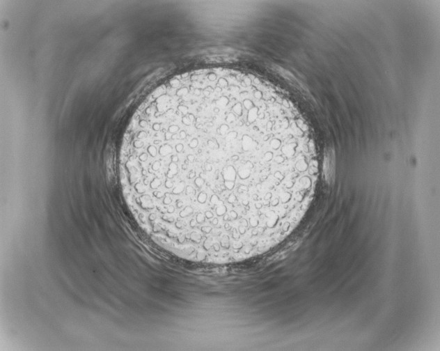 X0000085221444200704091920