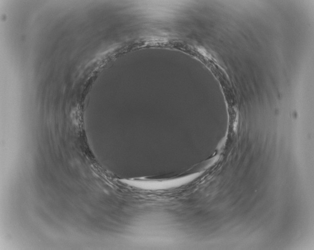 X0000085221445200704091920