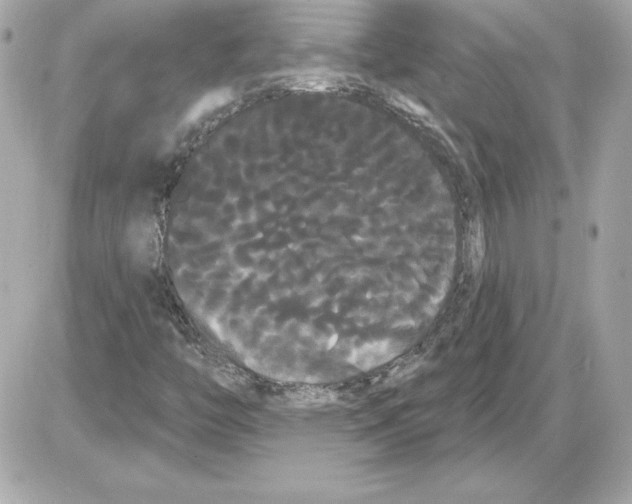 X0000085221446200704091920