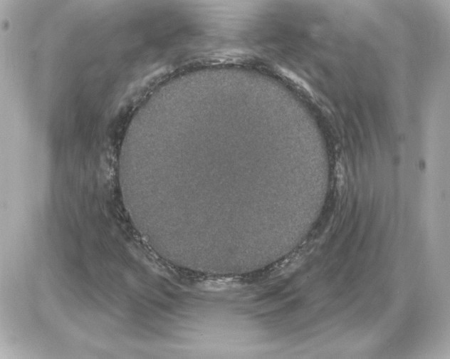X0000085221447200704091920