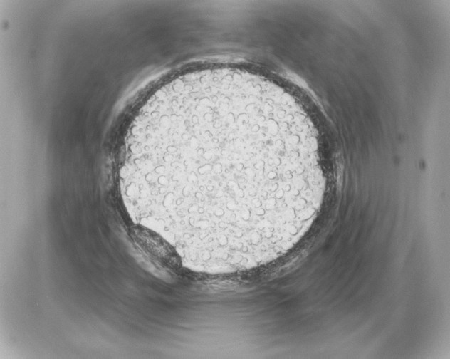 X0000085221448200704091920