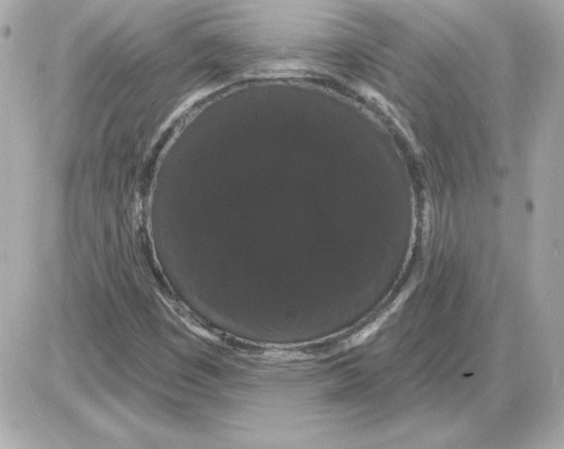 X0000085221449200704091920