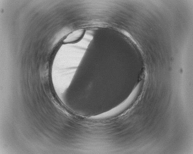 X0000085221450200704091919