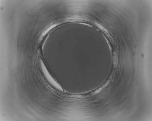 X0000085221453200704091919