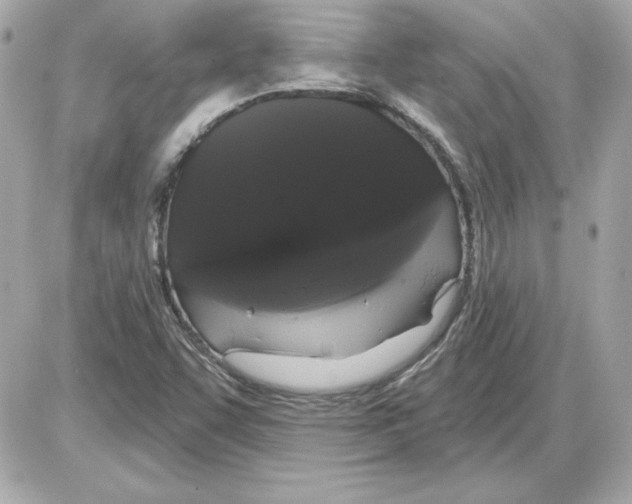 X0000085221455200704091919